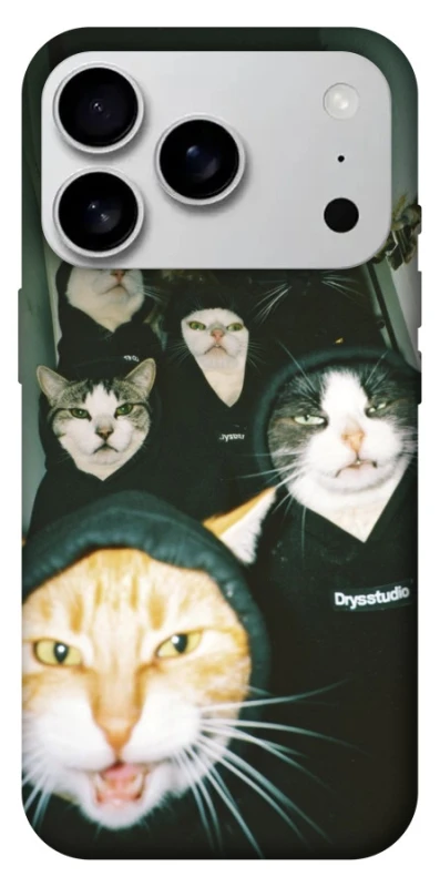 Чехол на Apple iPhone 17 Pro Max (6.9") Сatsss фото 1 из 1