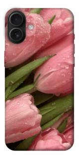Чохол на Apple iPhone 16 Plus Beauty фото 1 з 1