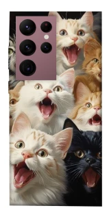 Чехол на Samsung Galaxy S22 Ultra Коты фото 1 из 1