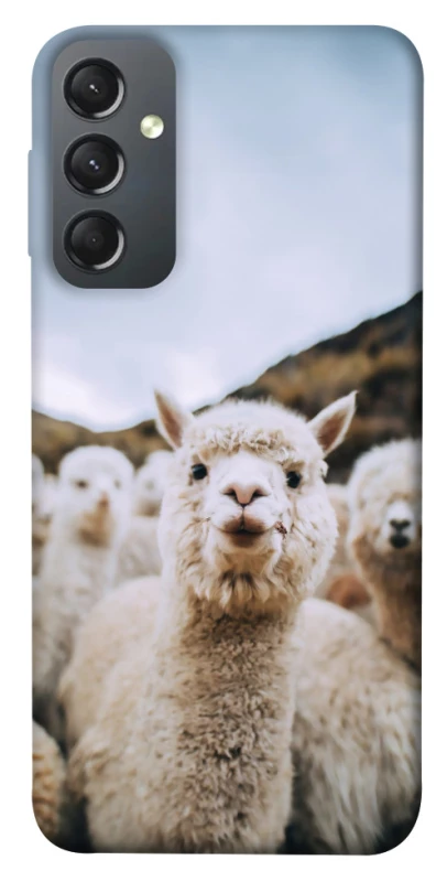 Чохол на Samsung Galaxy A24 4G Лама фото 1 з 1