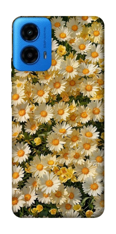 Чохол на Motorola Moto G45 Camomile фото 1 з 1