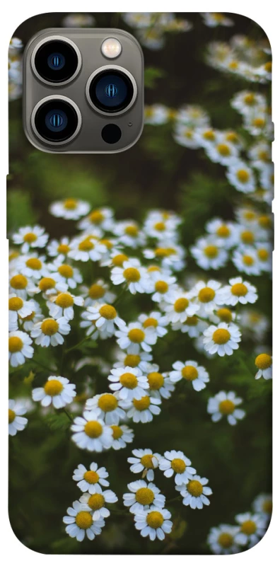 Чехол на Apple iPhone 13 Pro Max (6.7") Ромашки v13 фото 1 из 1