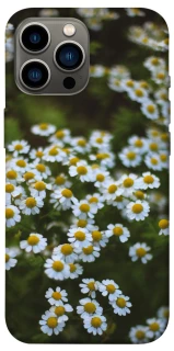 Чехол на Apple iPhone 13 Pro Max (6.7") Ромашки v13 фото 1 из 1