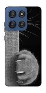 Чохол на Motorola Edge 60 Stylus Spy Cat фото 1 з 1