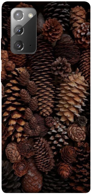 Чохол на Samsung Galaxy Note 20 Magic1 фото 1 з 1