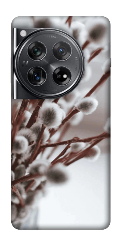 Чохол на OnePlus 12 Magic фото 1 з 1