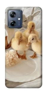 Чохол на Motorola Moto G54 Power Easter Vibes фото 1 з 1