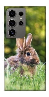 Чехол на Samsung Galaxy S24 Ultra Кролики фото 1 из 1