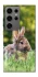 Чехол на Samsung Galaxy S24 Ultra Кролики фото 1 из 1