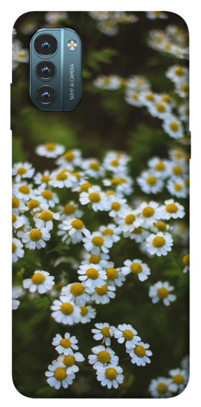 Чехол на Nokia G21 Ромашки v13 фото 1 из 1