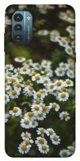Чехол на Nokia G21 Ромашки v13 фото 1 из 1