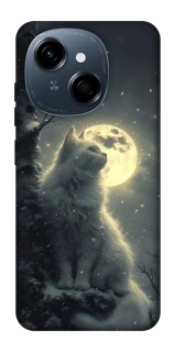 Чохол на TECNO Spark Go 1 Кіт під місяцем фото 1 з 1