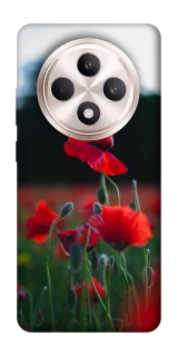 Чехол на Oppo Reno 12 F 4G/5G Мак фото 1 из 1