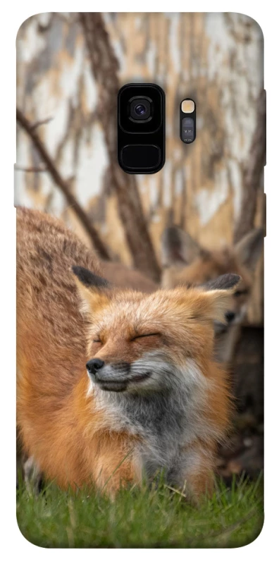 Чохол на Samsung Galaxy S9 Лисиця фото 1 з 1