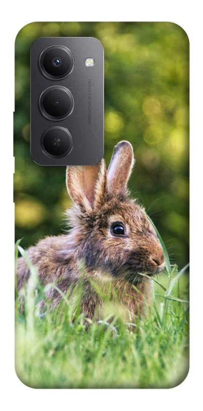 Чохол на Xiaomi Redmi 15 (Global) Кролики фото 1 з 1