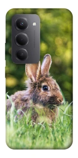 Чехол на Xiaomi Redmi 15 (Global) Кролики фото 1 из 1