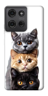 Чохол на Motorola Moto G75 Гарні котики фото 1 з 1