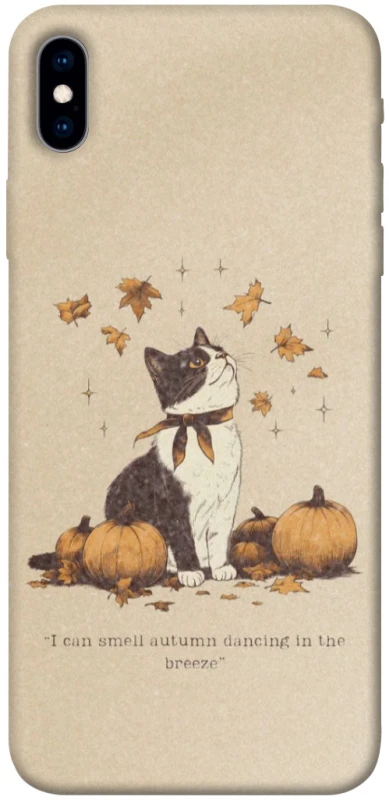 Чохол на Apple iPhone XS Max (6.5") Autumn vibes ver.3 фото 1 з 1