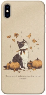 Чехол на Apple iPhone XS Max (6.5") Autumn vibes ver.3 фото 1 из 1