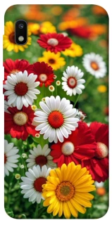 Чохол на Samsung Galaxy A10 (A105F) Flowers v11 фото 1 з 1