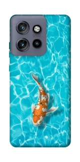 Чехол на Motorola Edge 50 Neo Fish фото 1 из 1