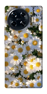 Чохол на TECNO Spark 20 Pro+ Поле ромашок фото 1 з 1