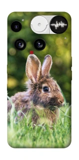 Чохол на Nothing Phone (3) Кролики фото 1 з 1