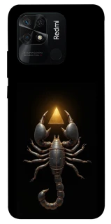 Чехол на Xiaomi Redmi 10C Scorpio with Golden Triangle фото 1 из 1