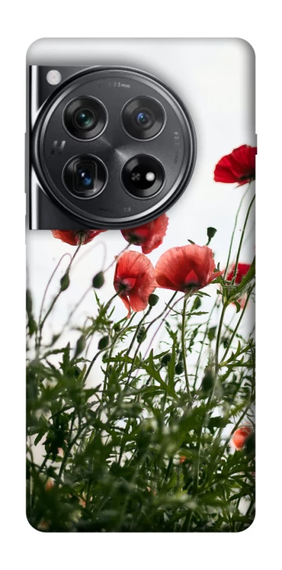 Чохол на OnePlus 12 Поле маків фото 1 з 1