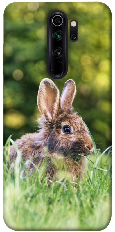 Чехол на Xiaomi Redmi Note 8 Pro Кролики фото 1 из 1
