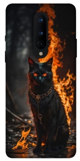 Чехол на OnePlus 8 Огненный кот фото 1 из 1