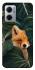 Чохол на Xiaomi Redmi Note 11E Fox фото 1 з 1
