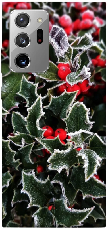 Чохол на Samsung Galaxy Note 20 Ultra Новорічний v32 фото 1 з 1