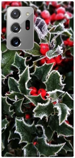 Чехол на Samsung Galaxy Note 20 Ultra Новогодний v32 фото 1 из 1