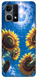 Чохол на Oppo Reno 7 4G Sunflowers фото 1 з 1