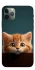 Чехол на Apple iPhone 11 Pro (5.8") Чехол Котёнок фото 1 из 1