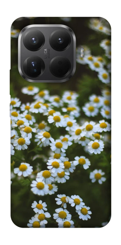 Чохол на Xiaomi 15T Pro Ромашки v13 фото 1 з 1