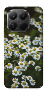 Чехол на Xiaomi 15T Pro Ромашки v13 фото 1 из 1