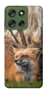 Чехол на Motorola Moto G56 5G Лиса фото 1 из 1