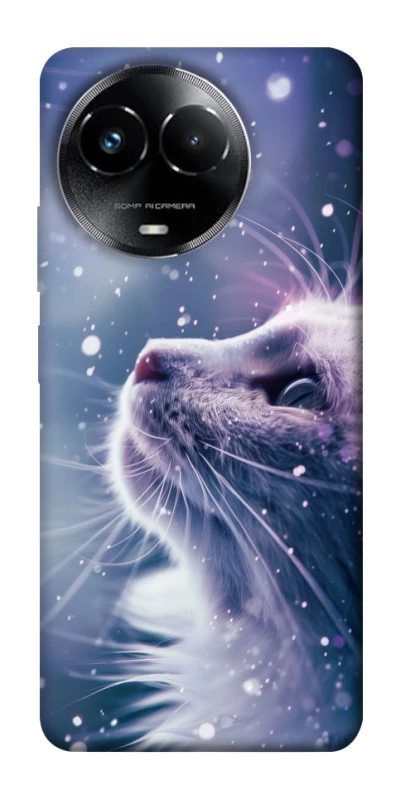Чехол на Realme C67 4G Snow cat фото 1 из 1