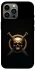 Чехол на Apple iPhone 13 Pro Max (6.7") Golden Skull фото 1 из 1