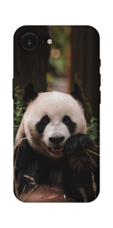 Чехол на Apple iPhone 16e (6.1") Панда фото 1 из 1