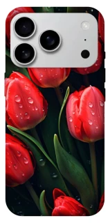 Чохол на Apple iPhone 17 Pro Max (6.9") Червоні тюльпани фото 1 Чохол на Apple iPhone 17 Pro Max (6.9") Червоні тюльпани фото 1 з 1