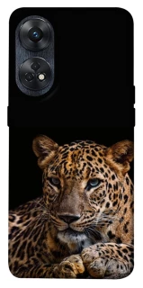 Чехол на Oppo Reno 8T 4G Leopard v4 фото 1 из 1