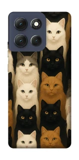 Чехол на Motorola Moto G86 Colorful Cat Collage фото 1 Чехол на Motorola Moto G86 Colorful Cat Collage фото 1 из 1