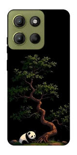 Чехол на Motorola Moto G15 4G Panda and tree фото 1 из 1