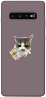 Чохол на Samsung Galaxy S10+ cat matcha фото 1 з 1