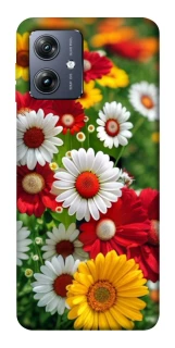 Чохол на Motorola Moto G54 Flowers v11 фото 1 Чохол на Motorola Moto G54 Flowers v11 фото 1 з 1