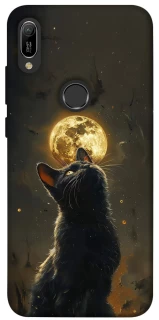 Чохол на Huawei Y6 (2019) Кіт під місяцем v2 фото 1 з 1