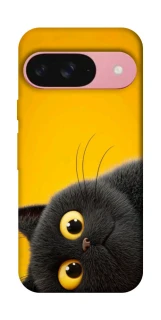 Чохол на Google Pixel 9 This is Cat фото 1 з 1